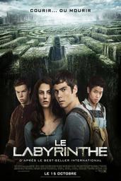 Le labyrinthe : courir ou mourir = The maze runner | Ball, Wes (1985-....). Monteur