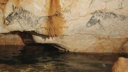 La grotte Cosquer, un chef-d'œuvre en sursis / Marie Thiry, réal. | 